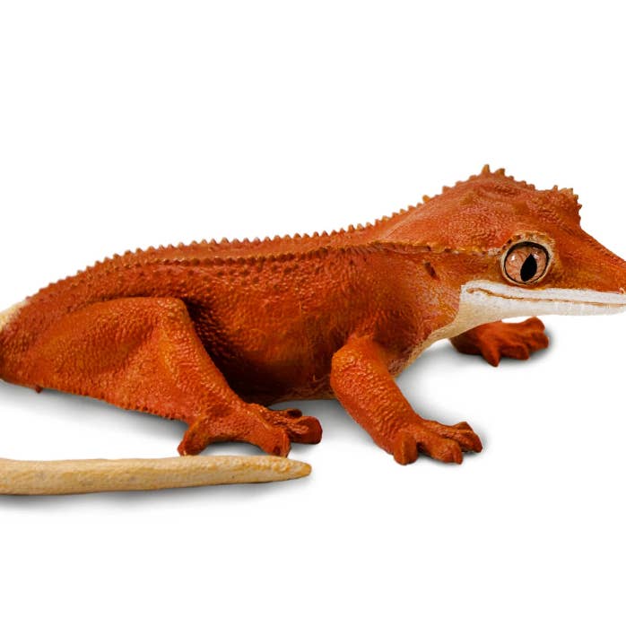 Crested Gecko - 100344 and other Purchase Wholesale geschenkbox. Free Returns & Net 60 Terms on Faire trending on Faire.