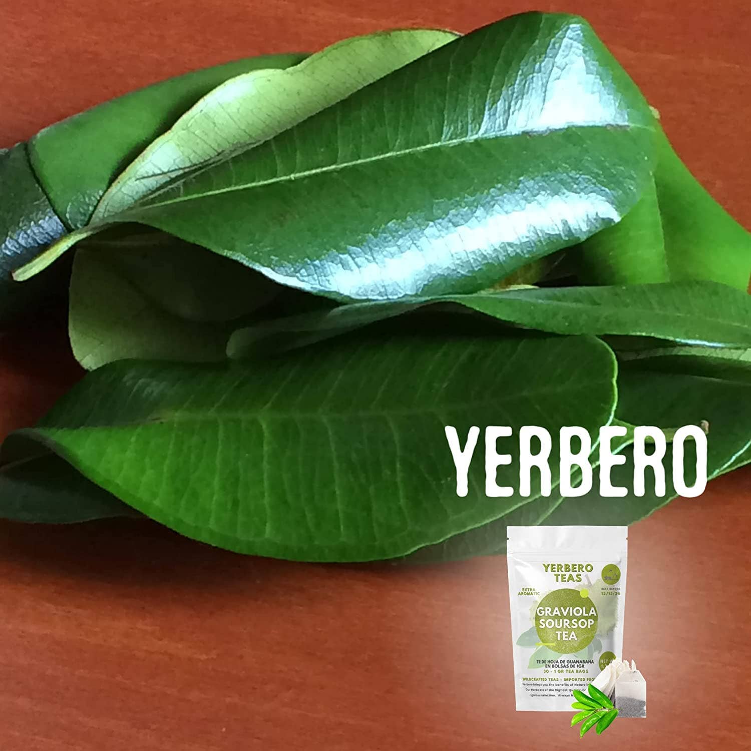 YERBERO - Wholesale Loose Tea - Yerbero - Whole Wildcrafted Dried Graviola Soursop Leaves 1 LB (453g - 1300+ Leaves Per Bag)3