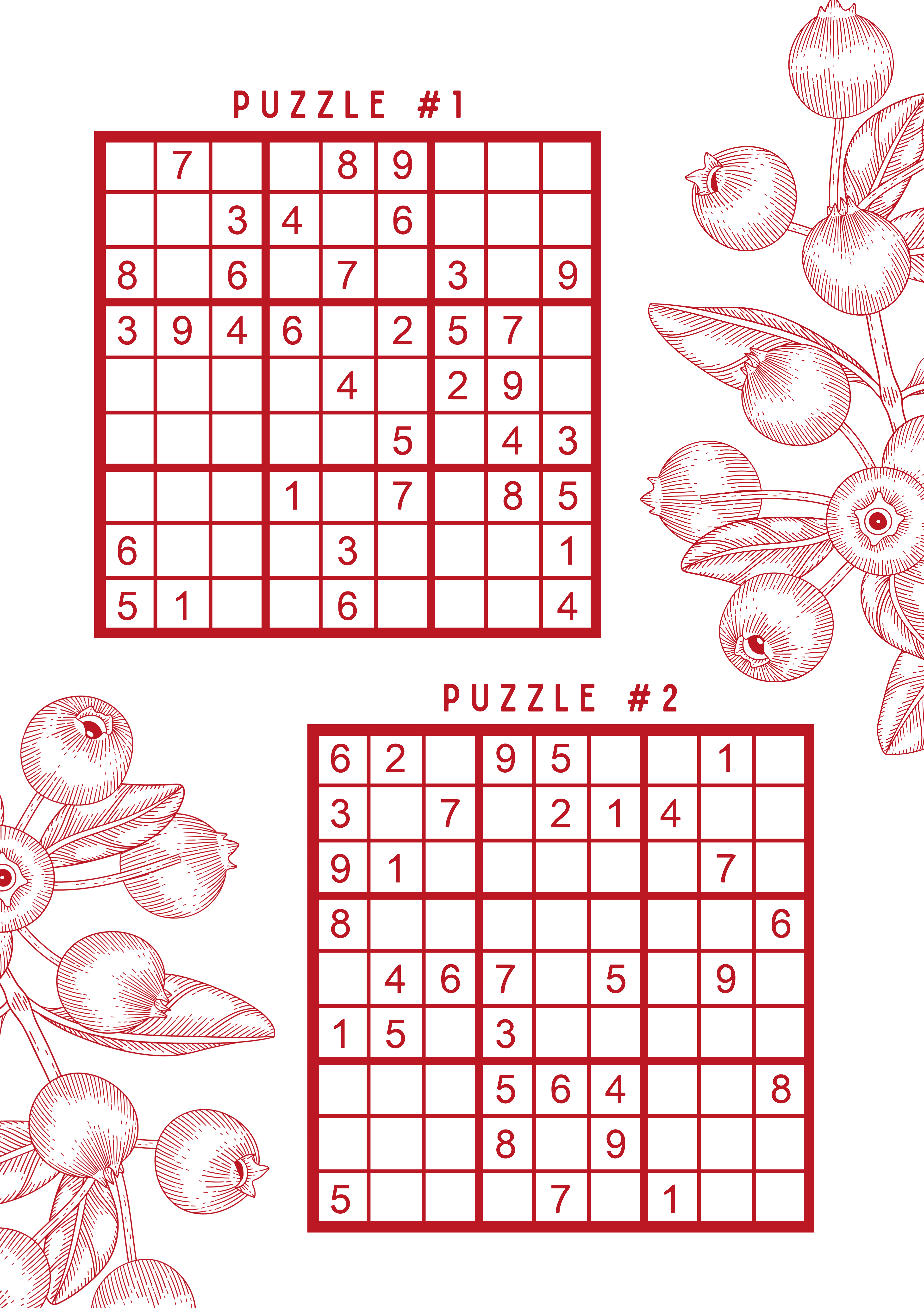 House of Sanchez - Wholesale Coloring & Activity Book - Adult - Sudoku Mini Anthology - Vol 1 - Very Easy Puzzles3