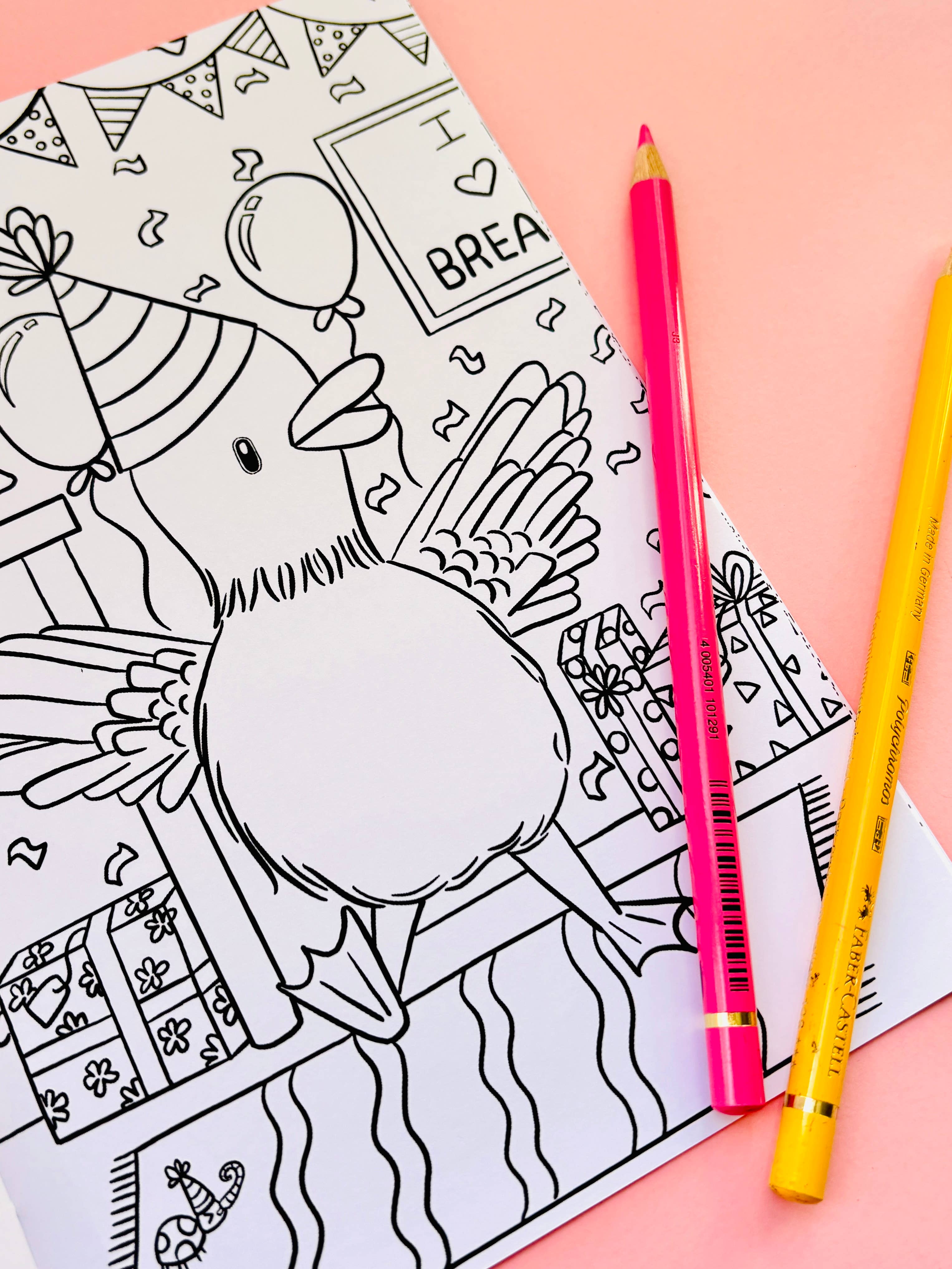 Pixiecraft - Wholesale Coloring & Activity Book - Kids & Baby - Dapper Ducks Illustrated A5 Colouring Book10