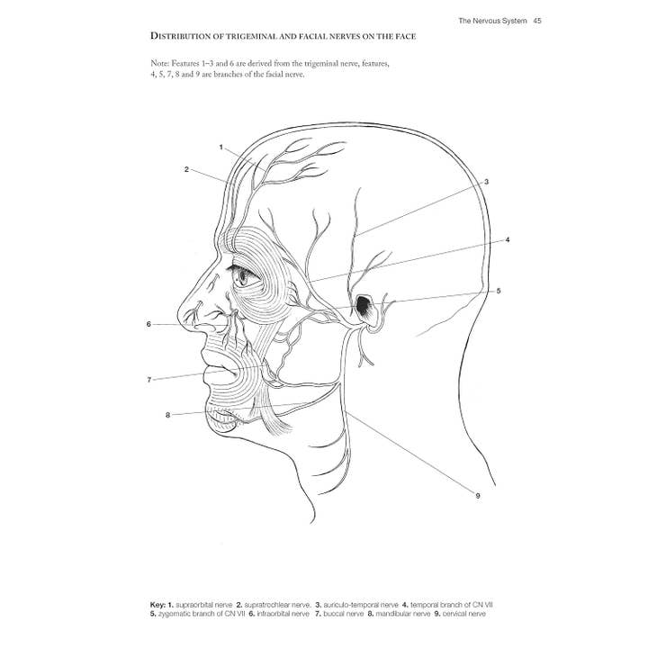 Fox Chapel Publishing - Wholesale Coloring Book - Adult - Complete Anatomy Coloring Book