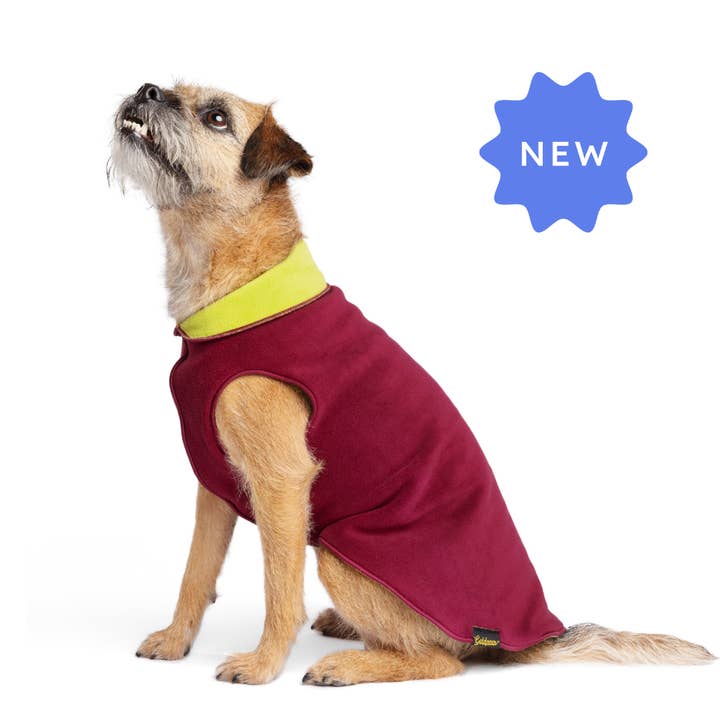 Gold Paw Series - Wholesale Pet Coat - Dog - Double Fleece