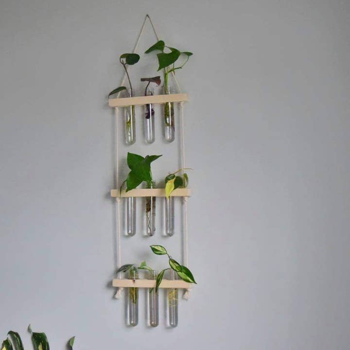 The Plant Committee - Wholesale Wall Planter - Hanging Propagation Station | Wall Vase | Pick your size