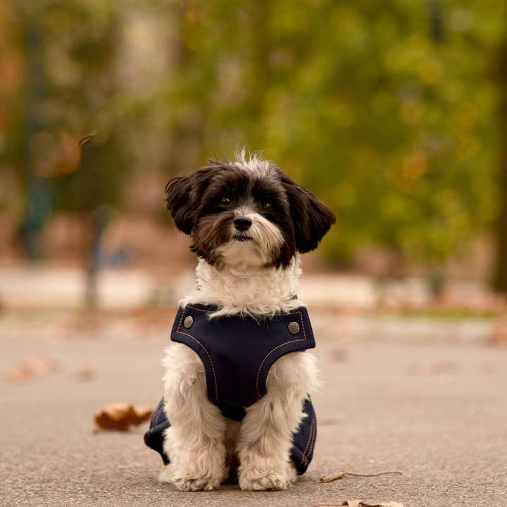 Bruce Winter - Bleu marine pour la vente par Kizzou