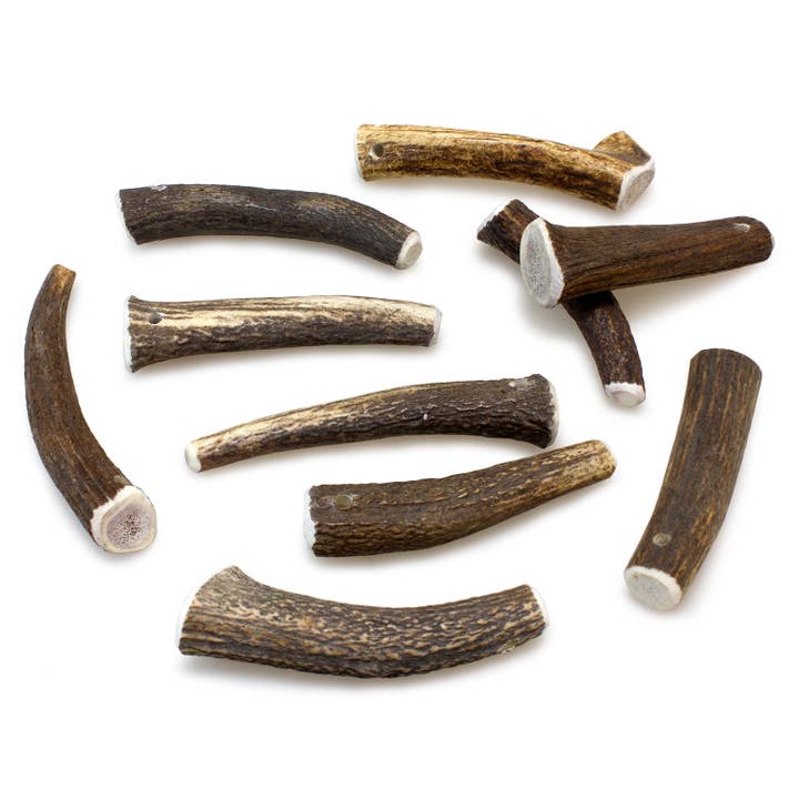 ARQUIVET, S.L.U. - Wholesale Pet Treats - Dog - Deer Antler M (40-75Gr)1