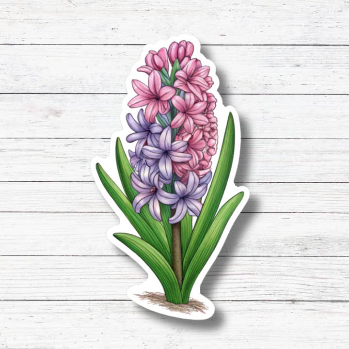 Oily Graphic Creations - Wholesale Sticker - Hyacinth- Flower Sticker/Magnet1