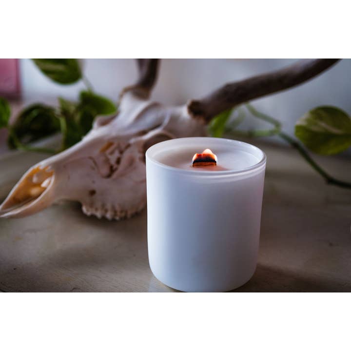 Apricity Products LLC – wholesale Burkljus – 14 oz. Vit Behållare | Kokosnöt Aprikosvax Träväckljus