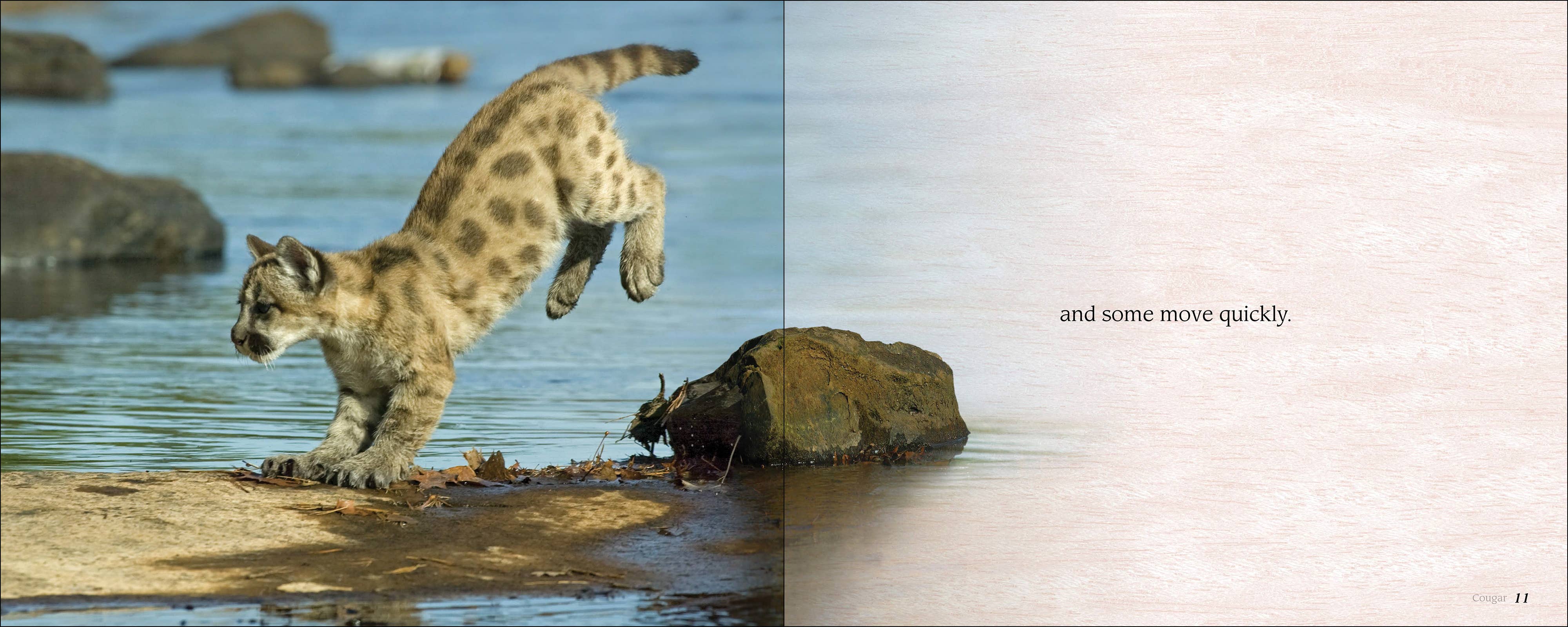 AdventureKEEN - Wholesale Baby & Toddler Book (0-2) - Some Babies Are Wild1