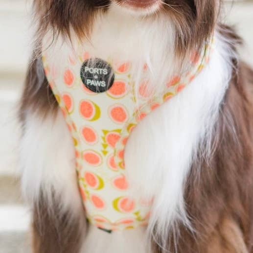 JUSTERBAR SELE - GUAVA for engroshandel hos Ports and Paws