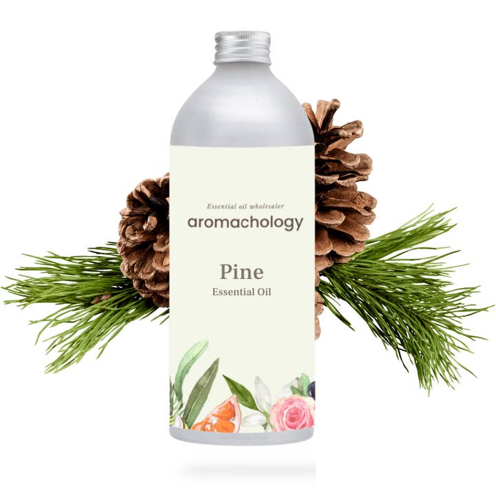 Aromachology - Wholesale Essential Oil - Pine Essential Oil
