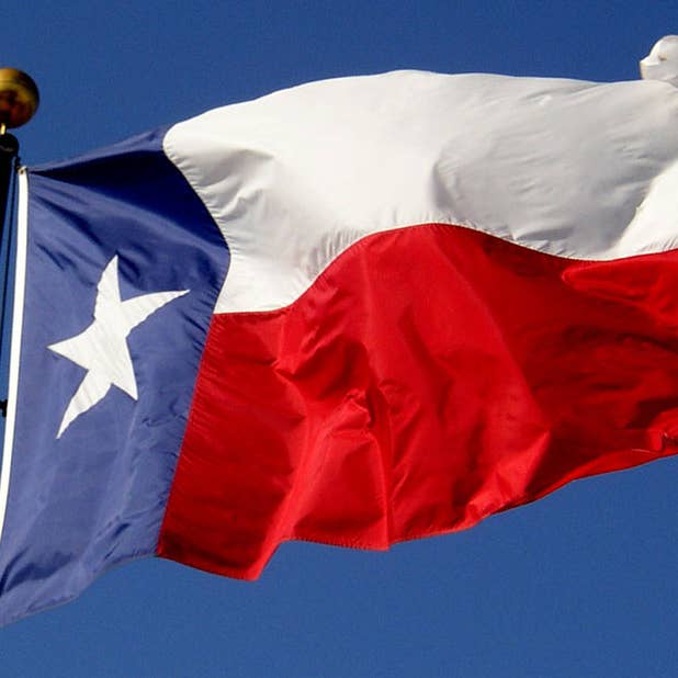 Drapeaux de l'État du Texas pour la vente par Flags Unlimited