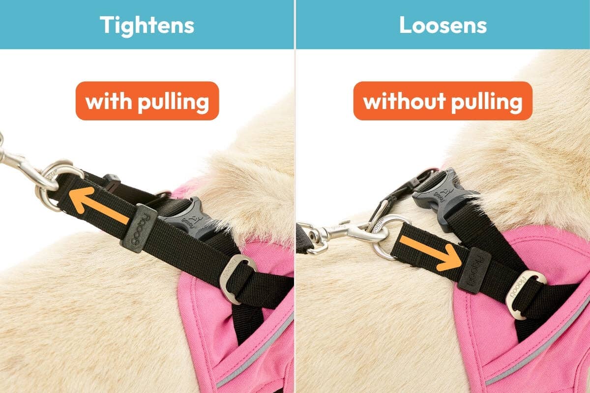 Gooby - Vendita all'ingrosso Pettorina - Cani - #40224 Escape Free Easy Fit X2