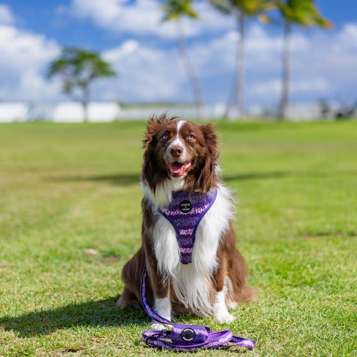Ports and Paws - Wholesale Pet Poop Bag Dispenser - POOP BAG HOLDER - ORCHID