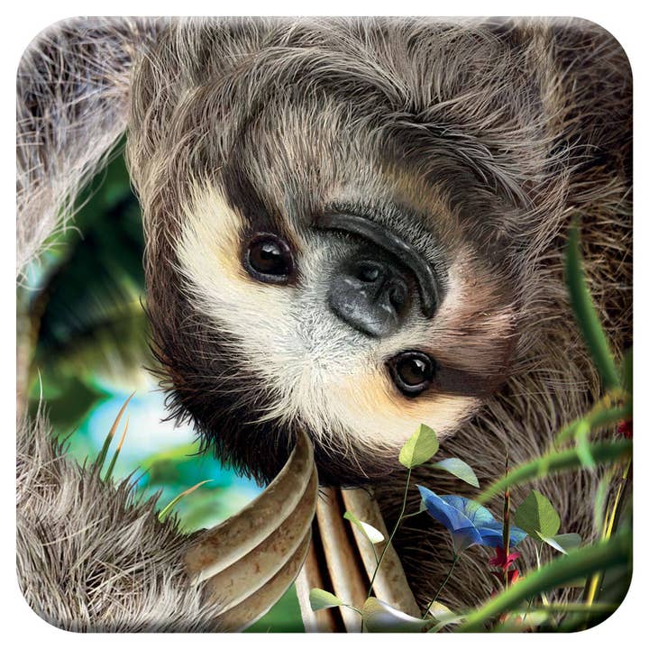 3D LiveLife Cork Coasters - Hangin' Around for wholesale by Deluxebase