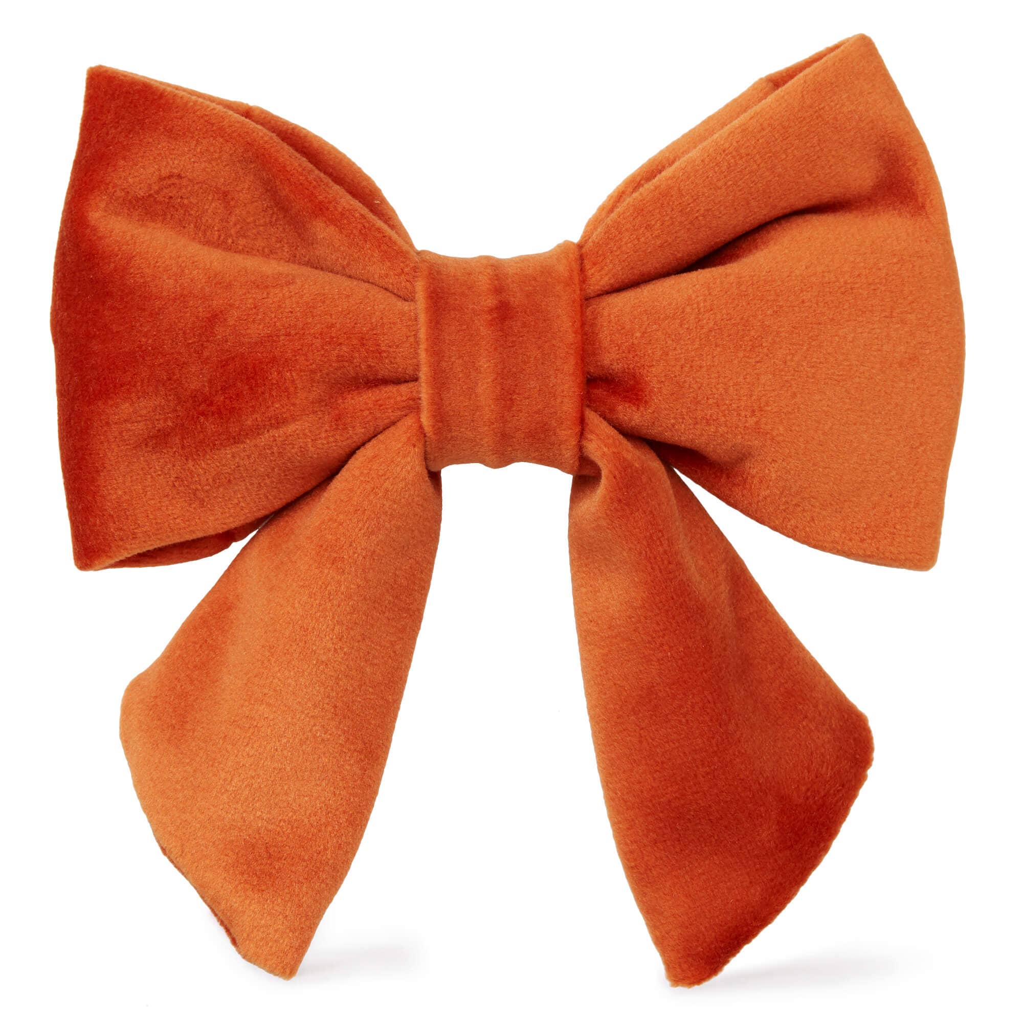 The Foggy Dog - Wholesale Pet Bow Tie - Dog - Pumpkin Velvet Lady Dog Bow0