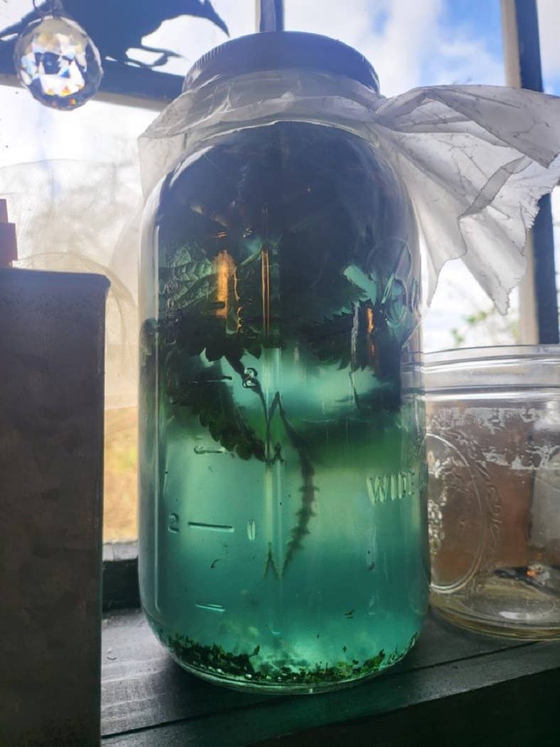 Du Jardin Beauty - Wholesale Scalp/Hair Treatment - Stimulating Scalp Serum With Wild-Foraged Horsetail & Nettle2