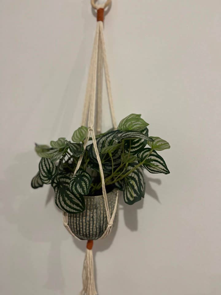 Macrame Plant Hanger for wholesale by Charlie & Twine