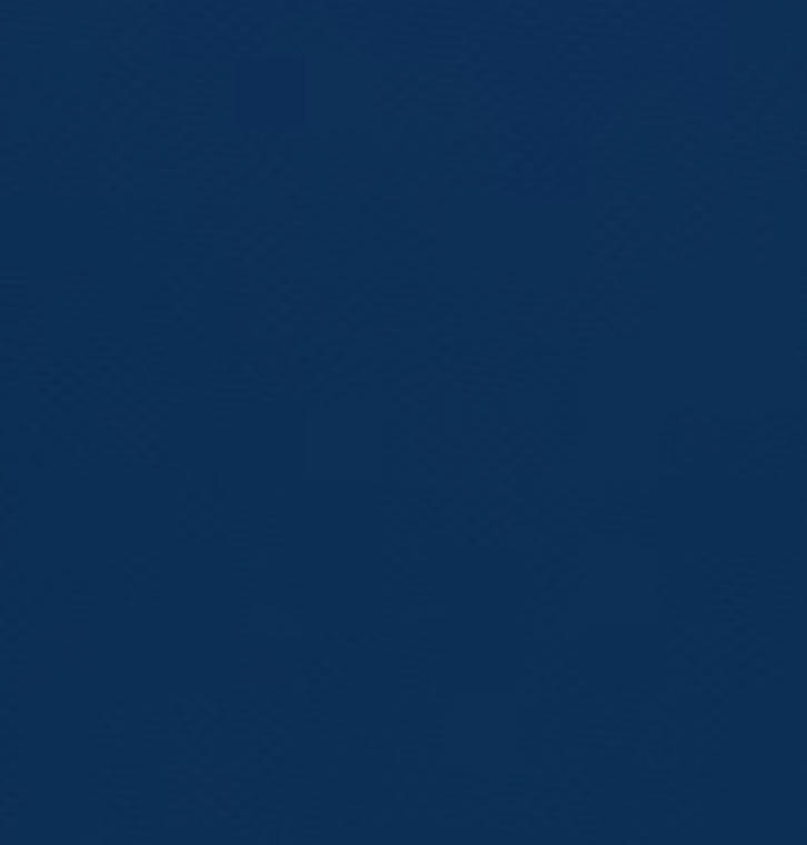 Mardi Gras Creations - Wholesale T-Shirt - Unisex - T-Shirt - Alstyle (Small - X-Large)8