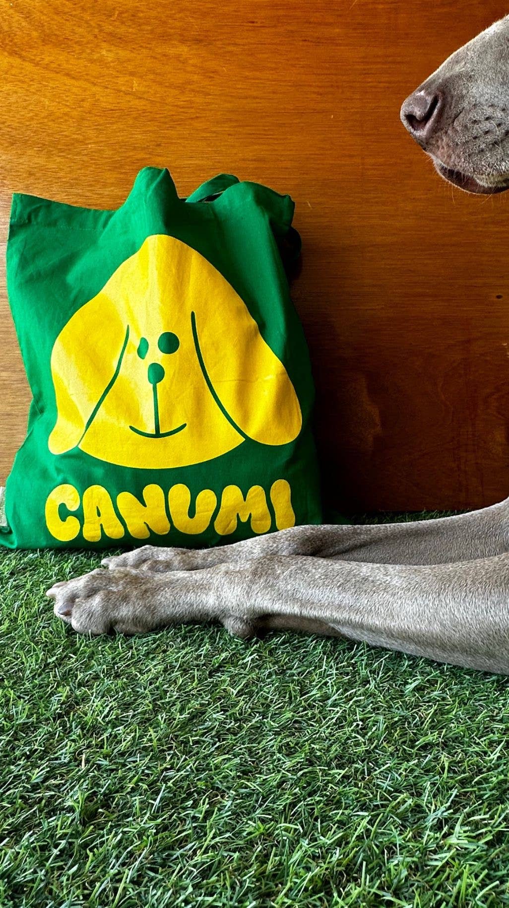 Canumi - Wholesale Retailer Display - Pets - PACK Available only for the US4