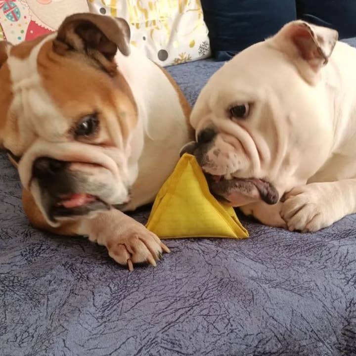 WufWuf - Wholesale Speeltje - Hond - WufWuf 2-in-1 Pyramid Interactive Treat Dispensing Hondenspeelgoed4