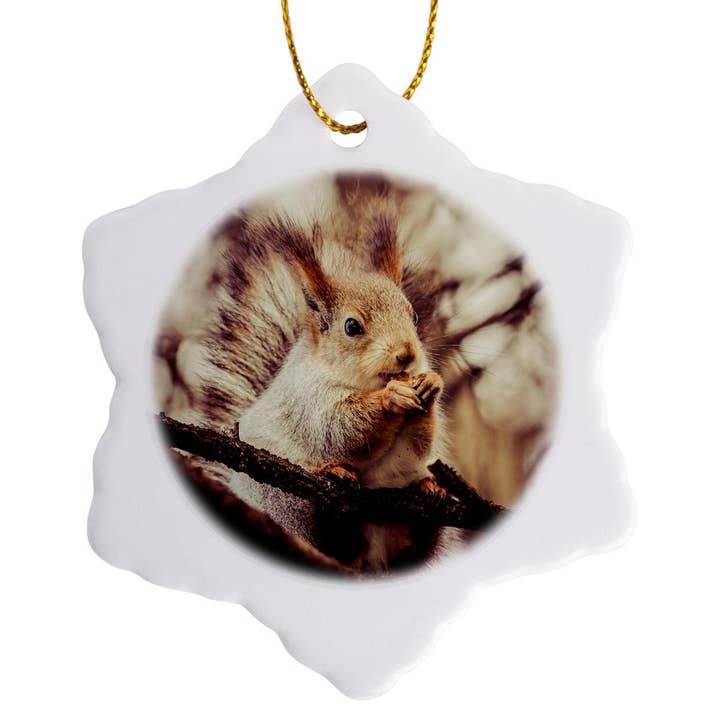 3dRose – wholesale Ornament – 3dRose, Squirrel animal sits on a tree and eats a nut. Stylized photo, Ornament