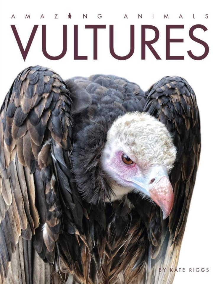 Fantastiska djur: Gamar för wholesale av The Creative Company