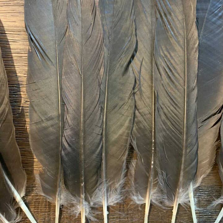 Plumes Naturelles - Wholesale Feathers - Natural crow feathers3