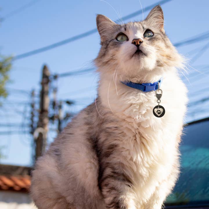 Karelia Creations - Wholesale Pet Collar Charm - Cat/Dog - Shungite Pet Collar Charm for Dogs and Cats (Small/Medium)6