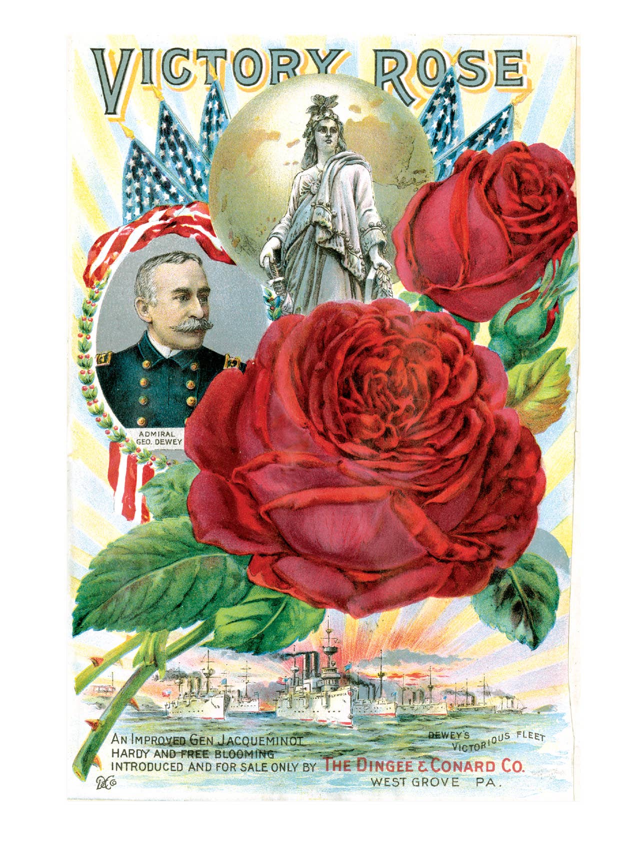 Laughing Elephant - Vendita all'ingrosso Biglietti di auguri generici - Rose antiche - Biglietti inscatolati per uso quotidiano3