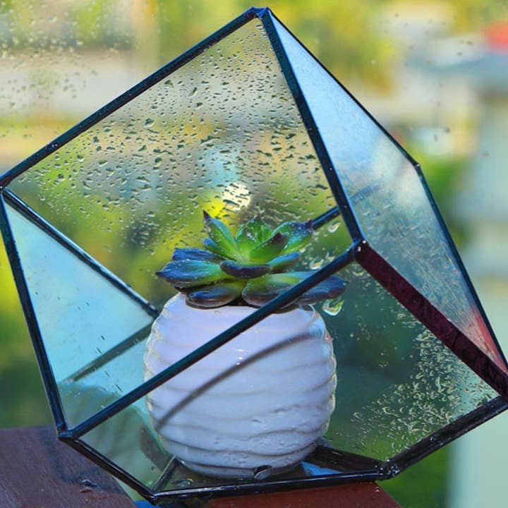 ES Essentials - Wholesale Terrarium - Glass Terrarium Succulent Planter