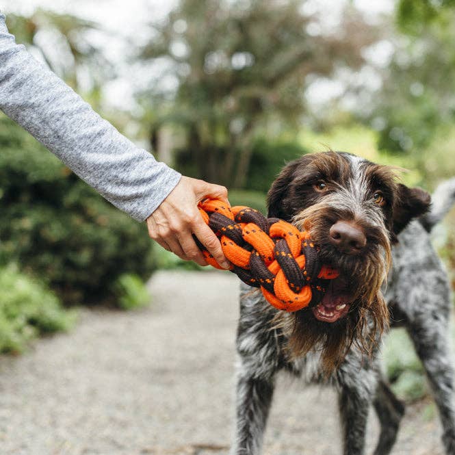 P.L.A.Y. Pet Lifestyle and You - Wholesale Pet Rope Toy - Dog - Honeycomb Rope Toy1