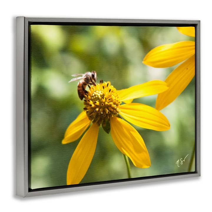 Stupell Industries - Wholesale Wall sign - Bee on Daisy Photography - Framed Wall Art15