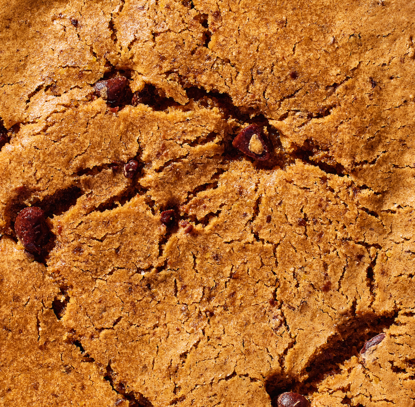 Toto – wholesale Biscuit – Sea Salt Chocolate Chip (10 pack) 3