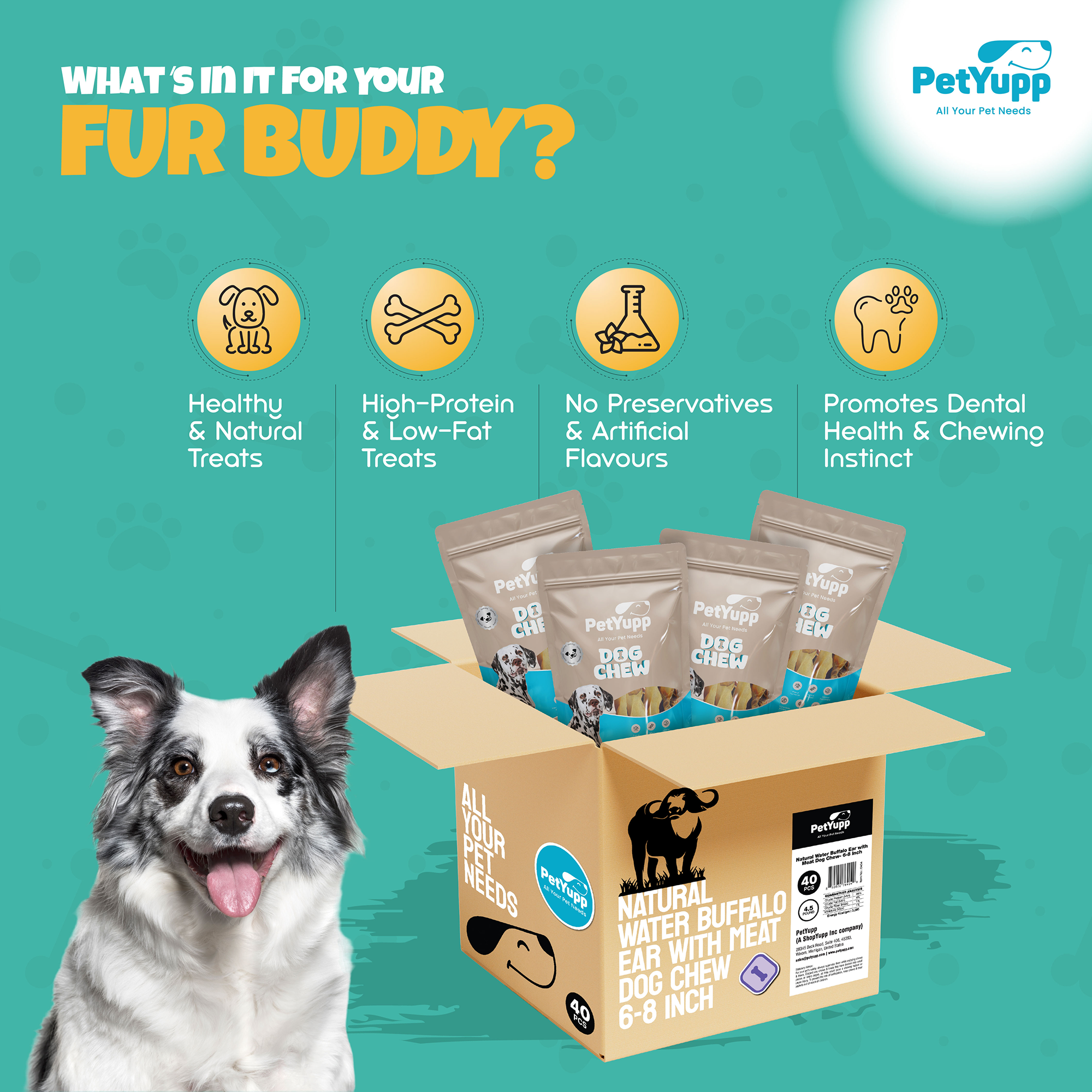 PetYupp - Wholesale Pet Treats - Dog - Dog Bulk Treats - Buffalo Ear with Meat - Pack of 40 pcs2