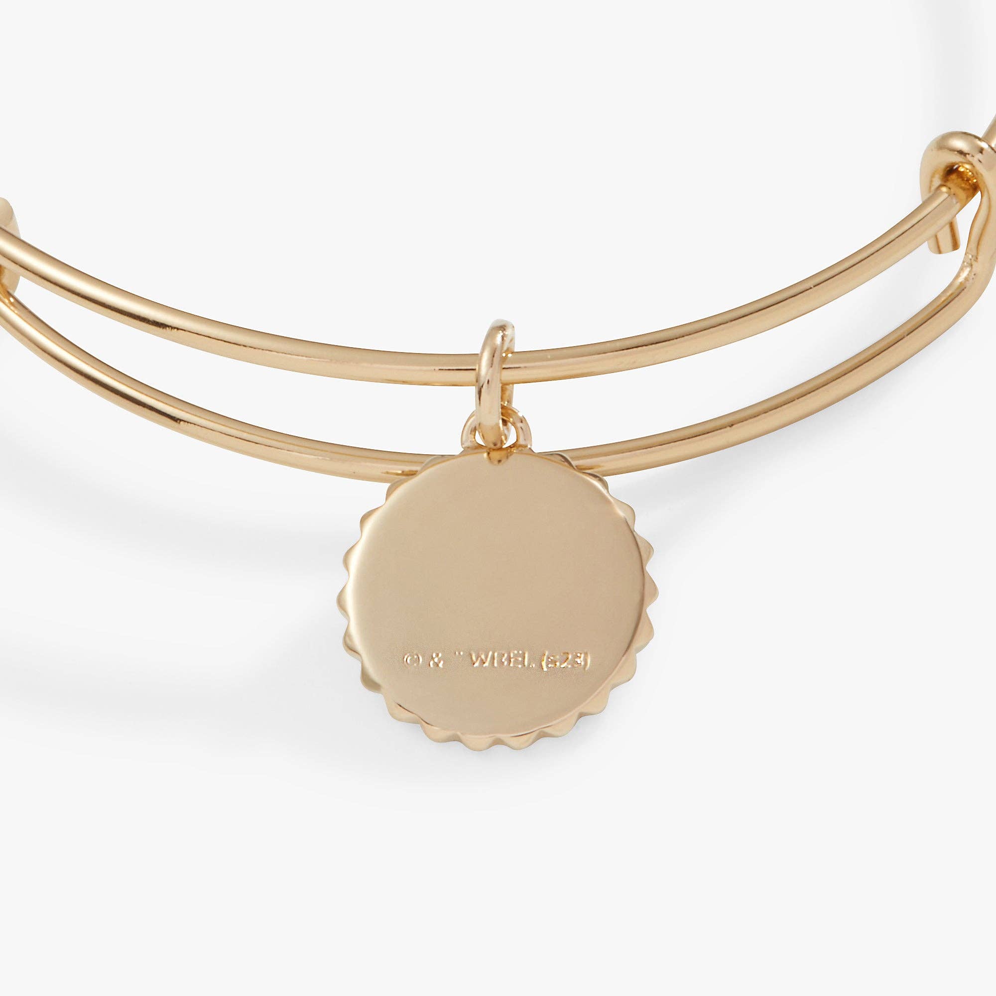 Alex and Ani - Wholesale Charm/Dangle Bracelet - Harry Potter™ Hufflepuff House Charm Bangle1