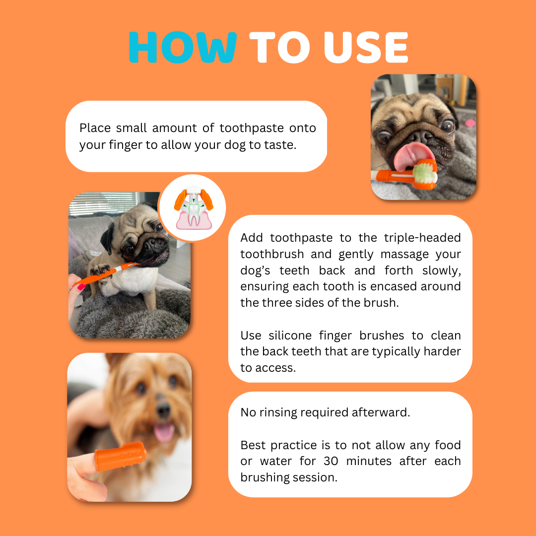 OurPetsLife - Vente Dentifrice – chien - Set de dentifrice et brosse à dents pour chien5