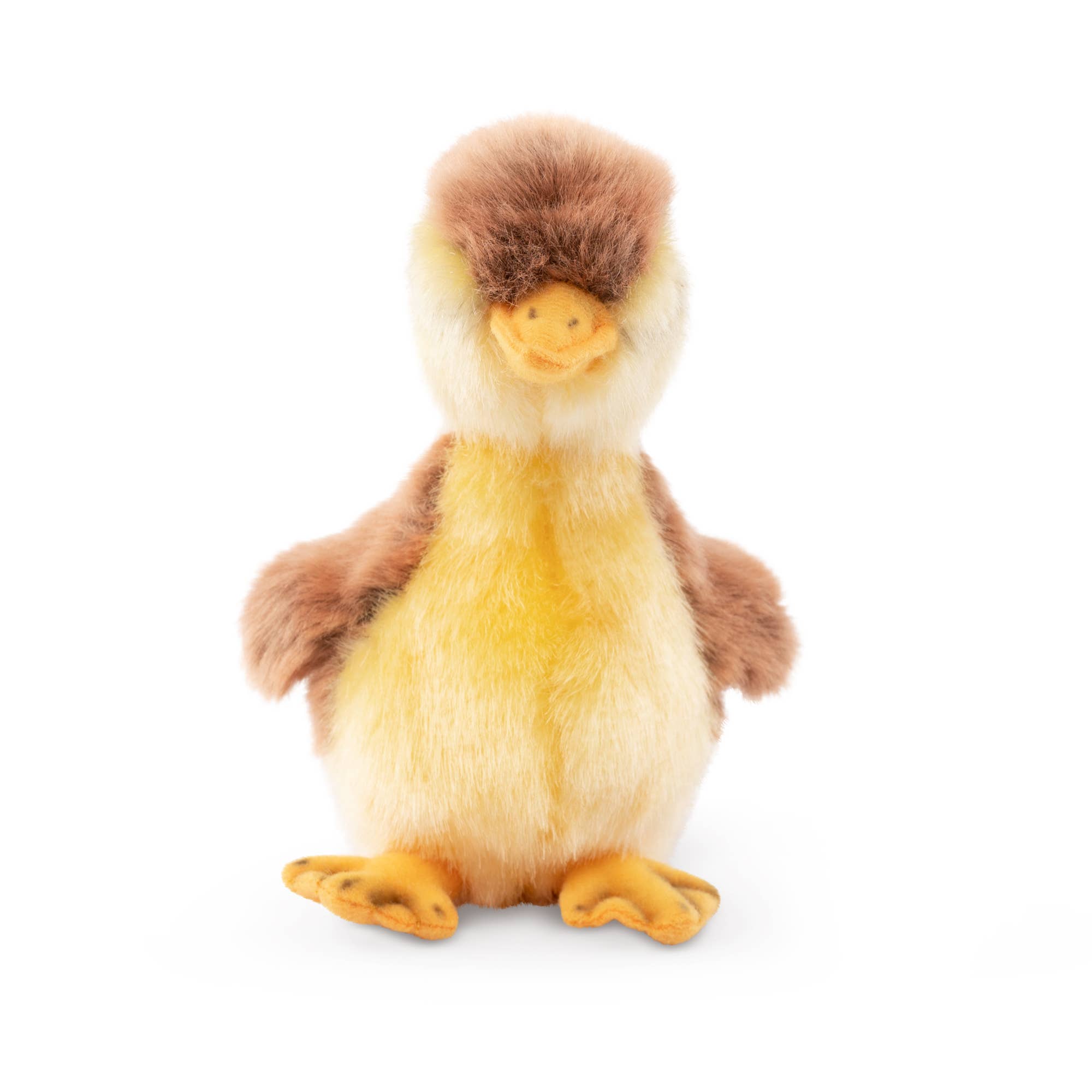 Keycraft - Vente Peluche – enfant et bébé - Canard Colvert en Peluche Jouet en Peluche Vivant Nature1