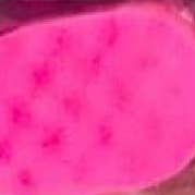 The Bubble Collective – wholesale Bath pouf/sponge – Soap filled exfoliating sponge10