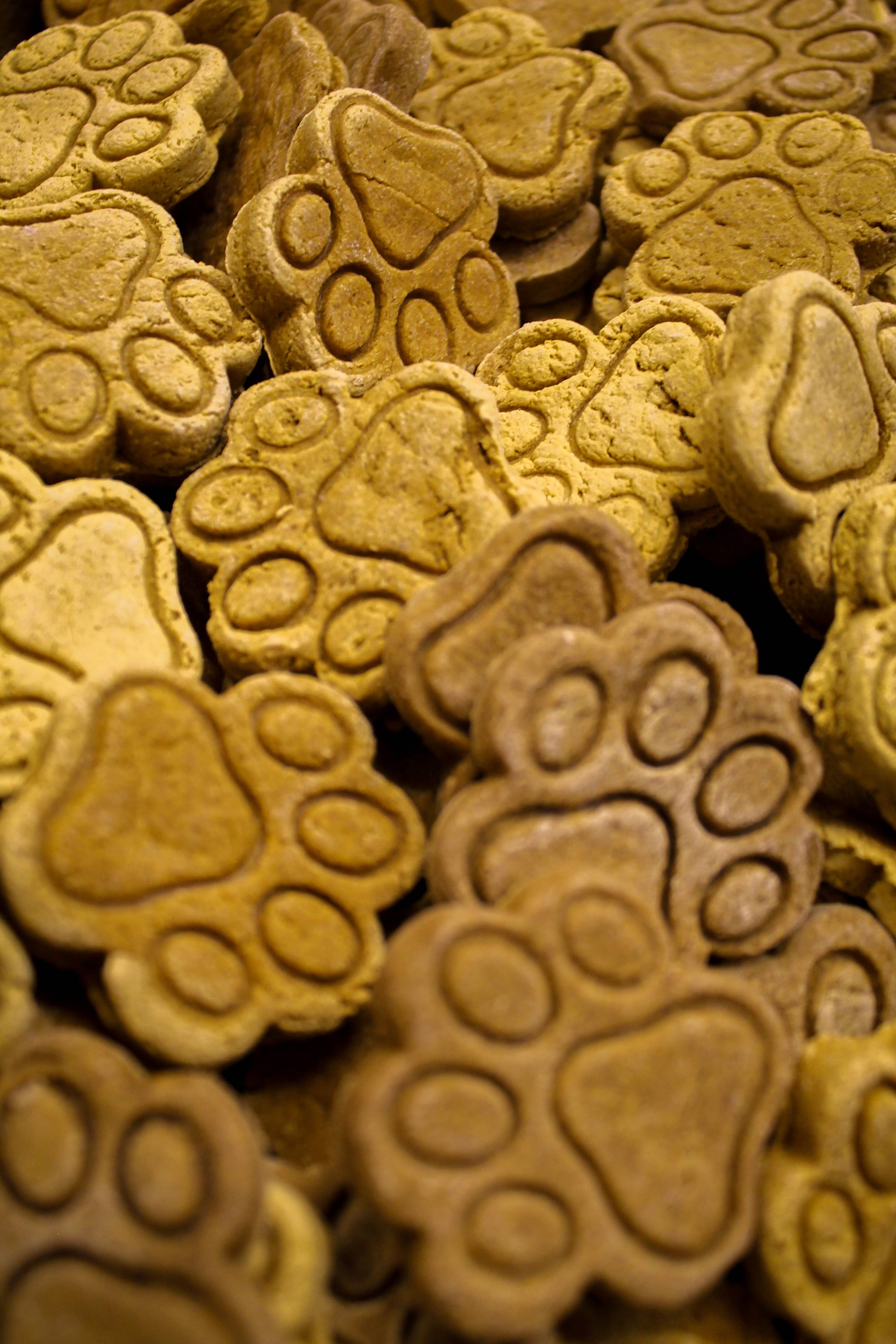 Bucho's Barkery - Wholesale Pet Treats - Dog - Pumpkin Paws - Dog Treats