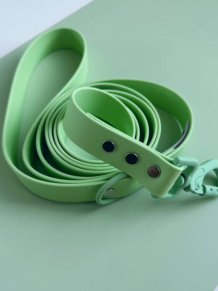 WATERPROOF DOG LEASH - SUGAR & SNOUT - PAWSTACHIO for wholesale by Hund & Shore