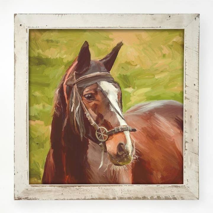 Horse for wholesale by ginger blue