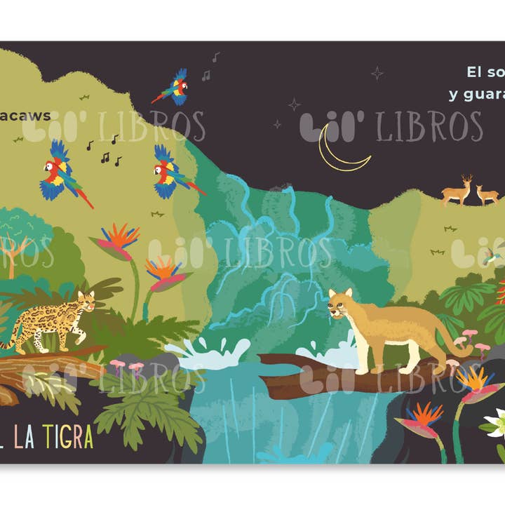 Lil' Libros ~ Bilingual Children's Books & Games - Wholesale Preschool Book (3-5) - VÁMONOS: Tegucigalpa (Bilingual: English and Spanish)1