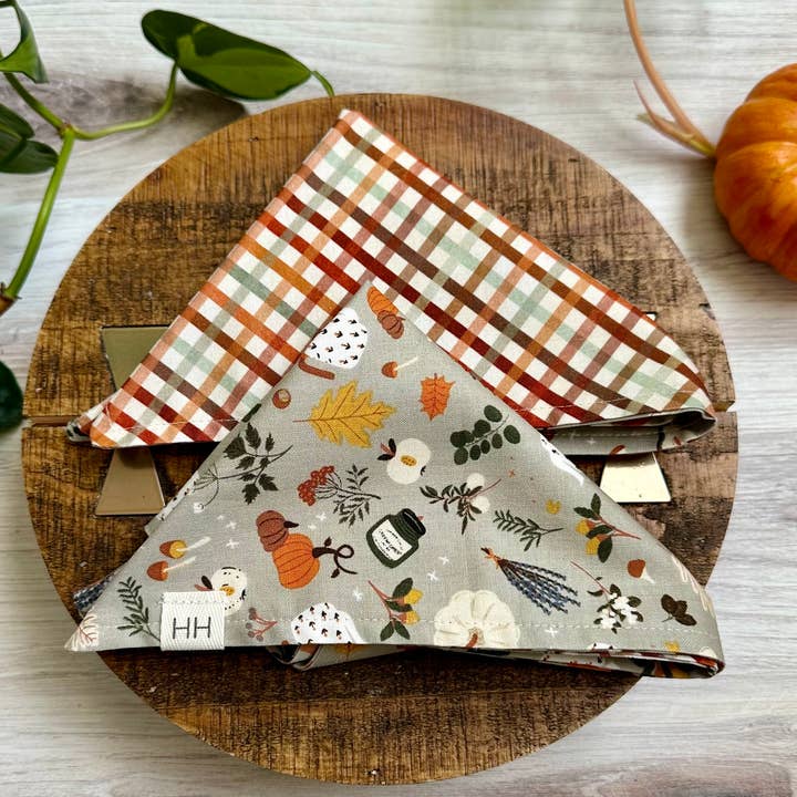 Fall Favorites Bandana for wholesale by Hodge House