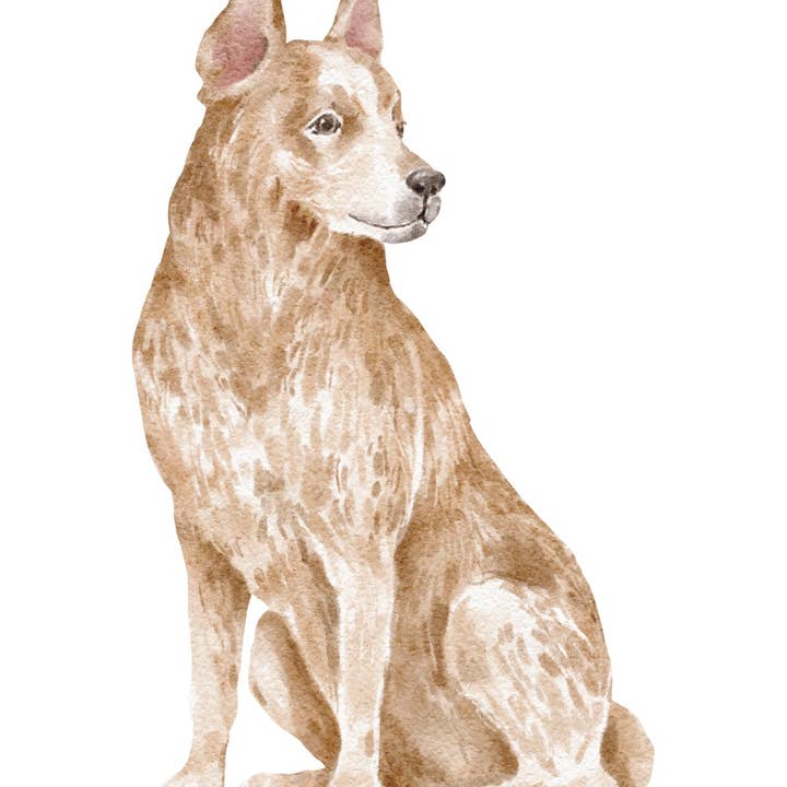 Red Heeler Note Cards for wholesale by Bourbon & Bacon