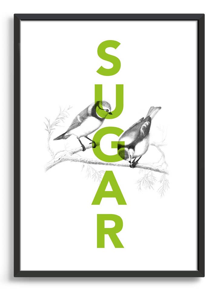 Sugar tits for wholesale by Rocket Jack