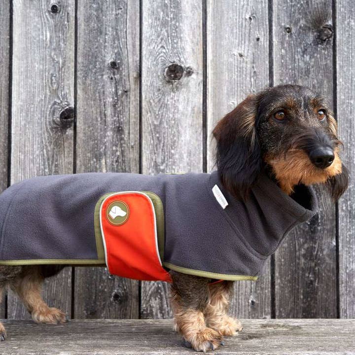 anthracite Pull en polaire pour teckel Henry en anthracite en vente sur Faire3