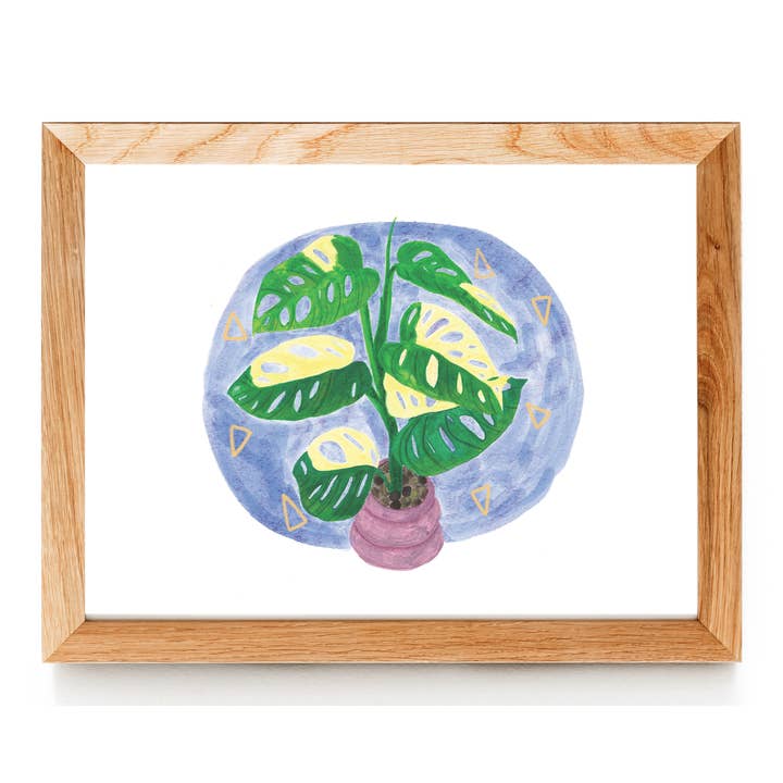 Monstera Adansonii variegado por atacado de Livvy Rose Studio