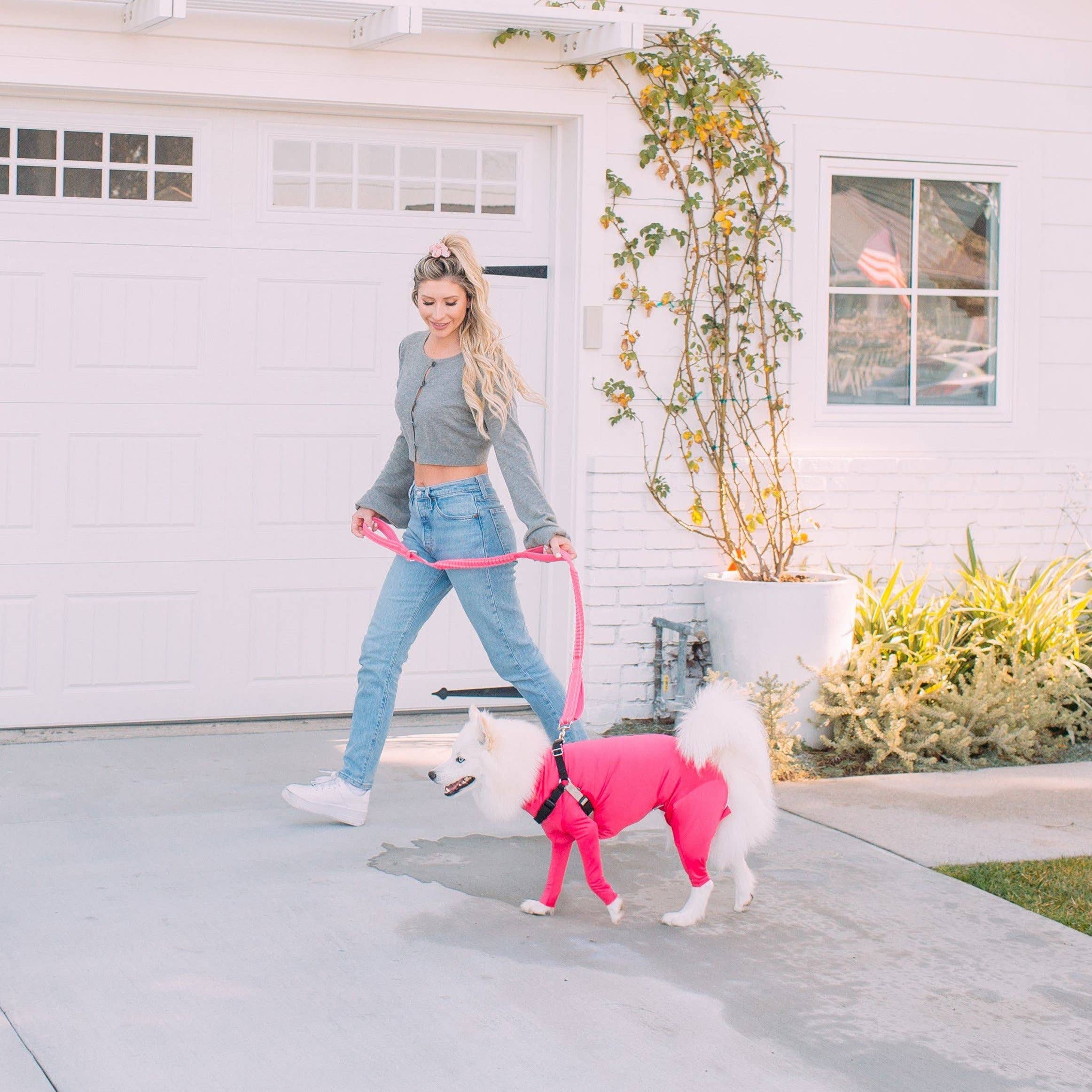 Shed Defender - Wholesale Pet Leash - Dog - Shock Absorbing Bungee Leash w/ Three Padded Handles 4-6 ft.2