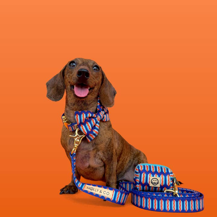 Molly & Co. – wholesale Pet leash – Dog – Wieners - Dog Leash1