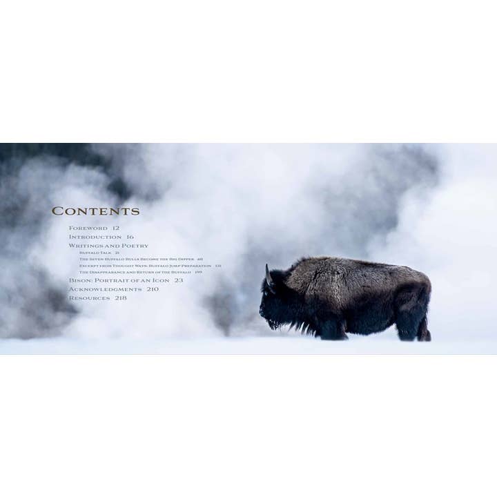 Gibbs Smith - Wholesale Nature & Outdoors - Bison: Portrait of an Icon1